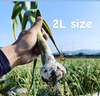 採れたて！幻の生にんにく 2Lサイズ【さかした農園】