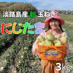【肉厚ジューシー!!】淡路島産ブランド新玉ねぎ 『にじたま』一級品3kg