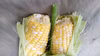 ドルチェドリーム 訳あり とうもろこし たっぷり！お得！【濃厚 甘々 人気品種】