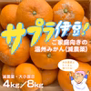 サプラ伊豆！ご家庭向きの甘いみかん【減農薬】