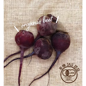 オーガニックビーツ【有機JAS認証】Sサイズ(2㎏)