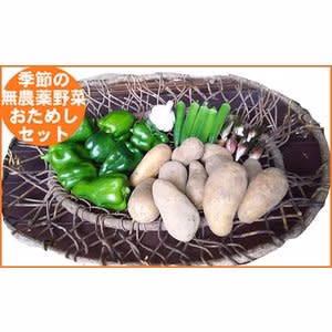 おまかせお試し野菜セット（季節により内容が異なります）