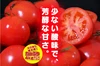 マイクロトマトのオマケ付き❗️【訳あり】ソムリエトマト５kg(20玉～38玉)
