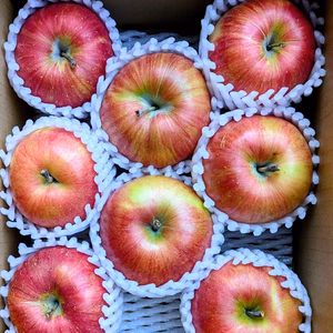 訳あり葉とらずシナノスィート　約２Ｋ