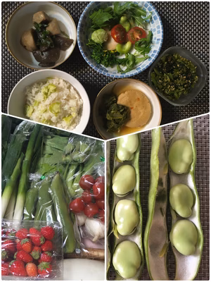 みんなの投稿の画像