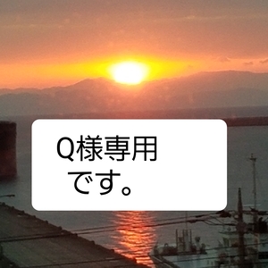 Q様専用です。送料無料‼️