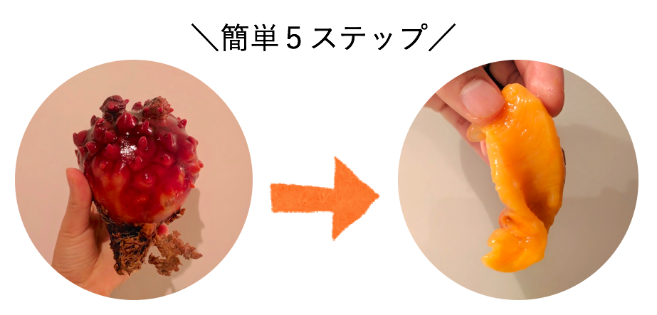 ホヤの簡単さばき方と漁師おすすめの食べ方 本当のホヤの美味しさを知ってほしい 農家漁師から産地直送の通販 ポケットマルシェ