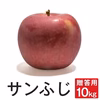 サンふじ【贈答用10kg】ジャム一本おまけ付き☆ 10月中旬頃出荷開始予定