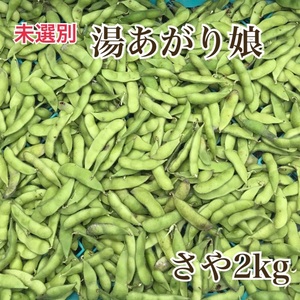 【未選別】プリプリ！香り豊かな湯あがり娘　さや2kg　無農薬無肥料