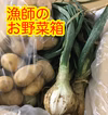 漁師の畑そのまま野菜箱　石野の濃い野菜セット　冬越じゃがいも　