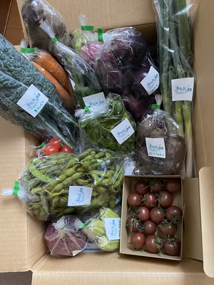 みんなの投稿の画像