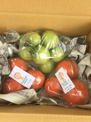 みんなの投稿の画像