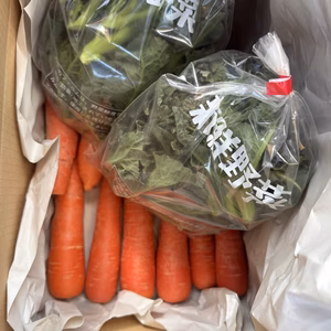 【春の売り尽くし野菜セット】「京くれない」「アレッタ」【訳アリ品】