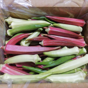 期間限定【朝どり直送】オクラミックス(農薬不使用)