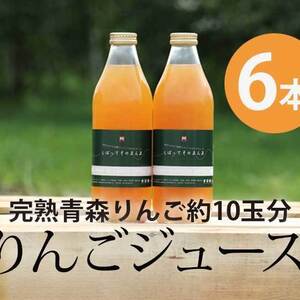 完熟青森りんご１00%【しぼってそのまんま】濃厚りんごジュース（1L×6本入）