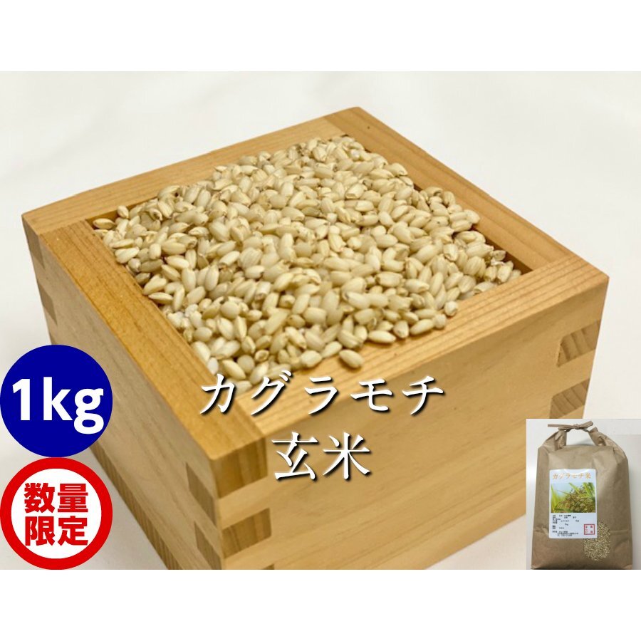 令和7年産 もち米 カグラモチ 餅米 白米 若玄米 1kg〜10kg｜餅・もち米