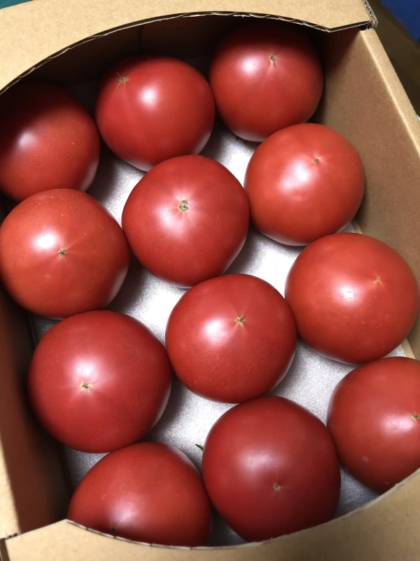 真っ赤な恵トマト 2箱 (16個~24個 約3.4kg前後)