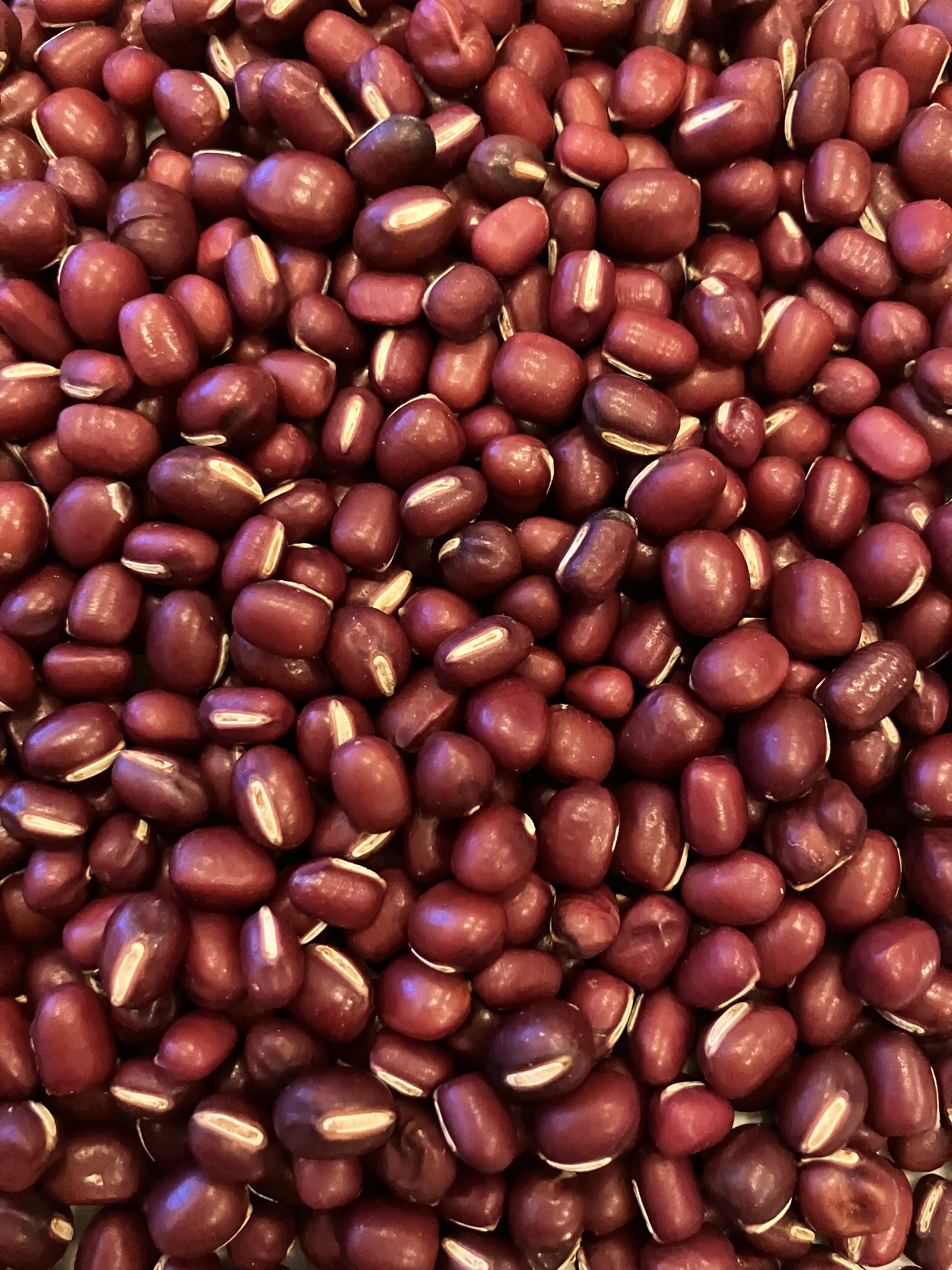 小豆の産直通販・お取り寄せ商品｜ポケットマルシェ｜産地直送で旬の