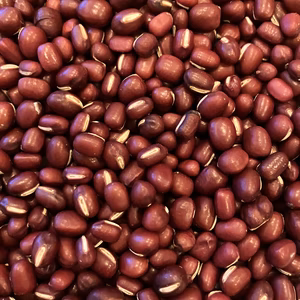 農薬化学肥料･除草剤不使用【北海道産★新豆】小豆  全国一律送料！