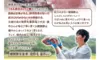健酵豚　小間切れ　1.2kg〜