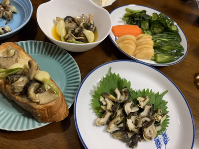 みんなの投稿の画像