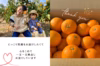 大三島のネーブルオレンジ【ご家庭用・防腐剤フリー⭐︎】