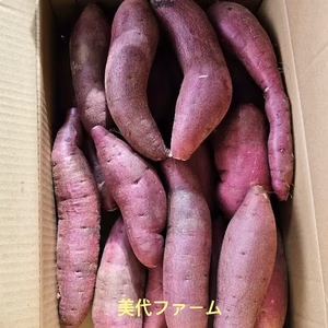 【訳あり特別限定】熟成紅はるか (混合S.M)早い勝ち(●'◡'●