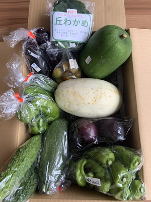 みんなの投稿の画像