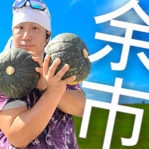 ロイヤルストレートフラッシュセット！ブラックのジョー、みやこ、坊ちゃん、3つ限定