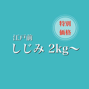 江戸前しじみ ２Kg～【特別価格】