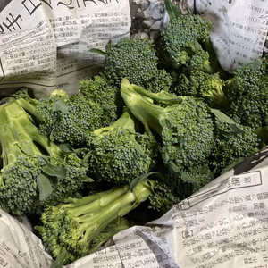 《今だけ！》スティックセニョールの頂花蕾！1kg