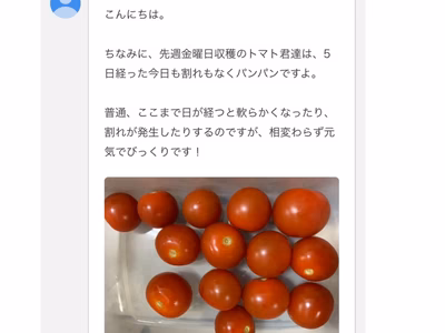 みんなの投稿の画像