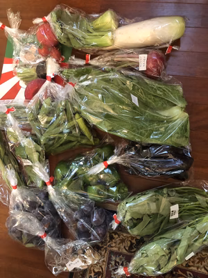 みんなの投稿の画像