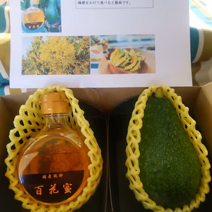 国産有機栽培アボカドとアボカド花蜜入り蜂蜜セット