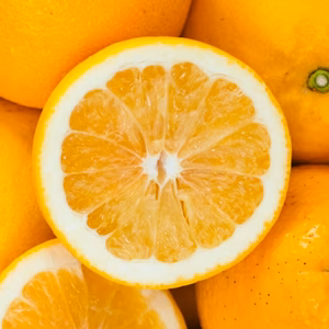 【訳ありだけど美味しさそのまま】河内晩柑【ほのかな甘みに爽やかな酸味】