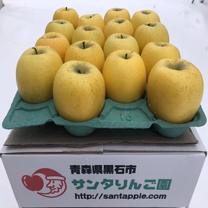 蔵出し春りんご　青森県産シナノゴールド　家庭用3～5キロ　農家直送
