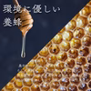 【神奈川県産】透き通る蜜と上品な桜の香り！さくら蜂蜜