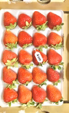 【★超特急★20玉/2L】青森県下北産　夏秋いちご「赤い妖精」【業務用】