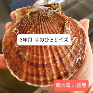 貴チン様 専用商品