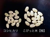 こぴっと米【極】大粒厳選特別栽培米2Kg✖️6袋・12Kg新米