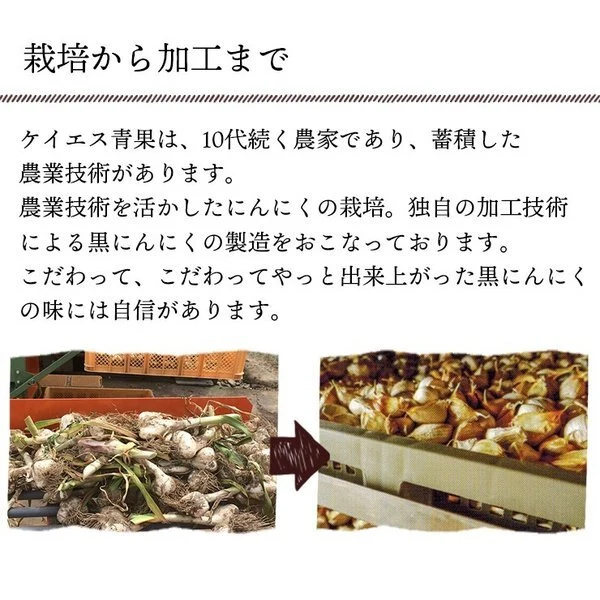 【贈答用】青森県産熟成黒にんにく 厳選 500g  福地ホワイト六片種使用