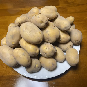 ★【新じゃが】まるで栗のような濃厚な甘み！インカの目覚め 3kg
