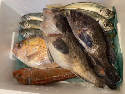 みんなの投稿の画像