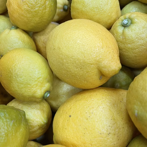 島の果実、越田農園のハウス栽培ナチュラルレモン