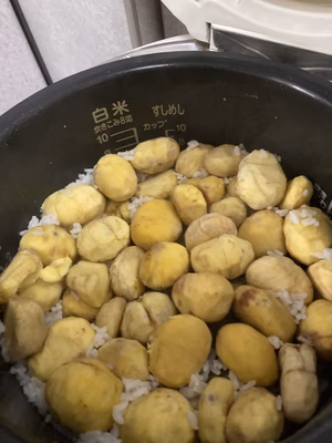 みんなの投稿の画像