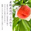 【傷ありだけど味は絶品！】山梨 訳あり桃 ご家庭用 (2kg)