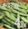 【(予約)５月限定！待ってましたこの季節♪】そら豆(さや付)　4kg