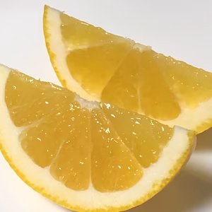 みかん王国の河内晩柑 10kg