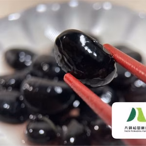 JAS認定/ふっくらしっとり黒大豆！500g(1袋）栽培期間中農薬化学肥料不使用