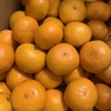 【早いもの勝ち】人気のゆら早生みかん♪4Kg or 9Kg混合サイズ